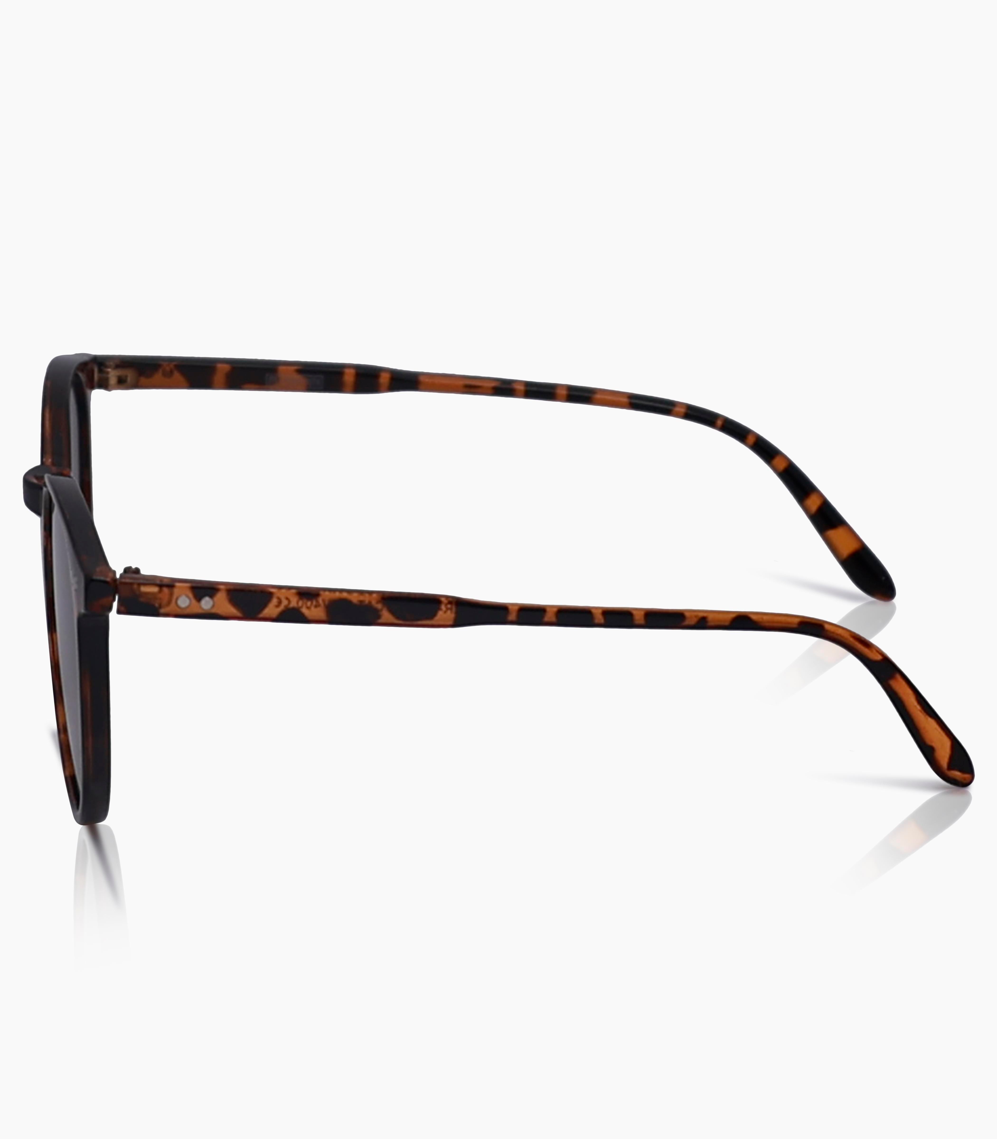 Panto Sunglasses Women