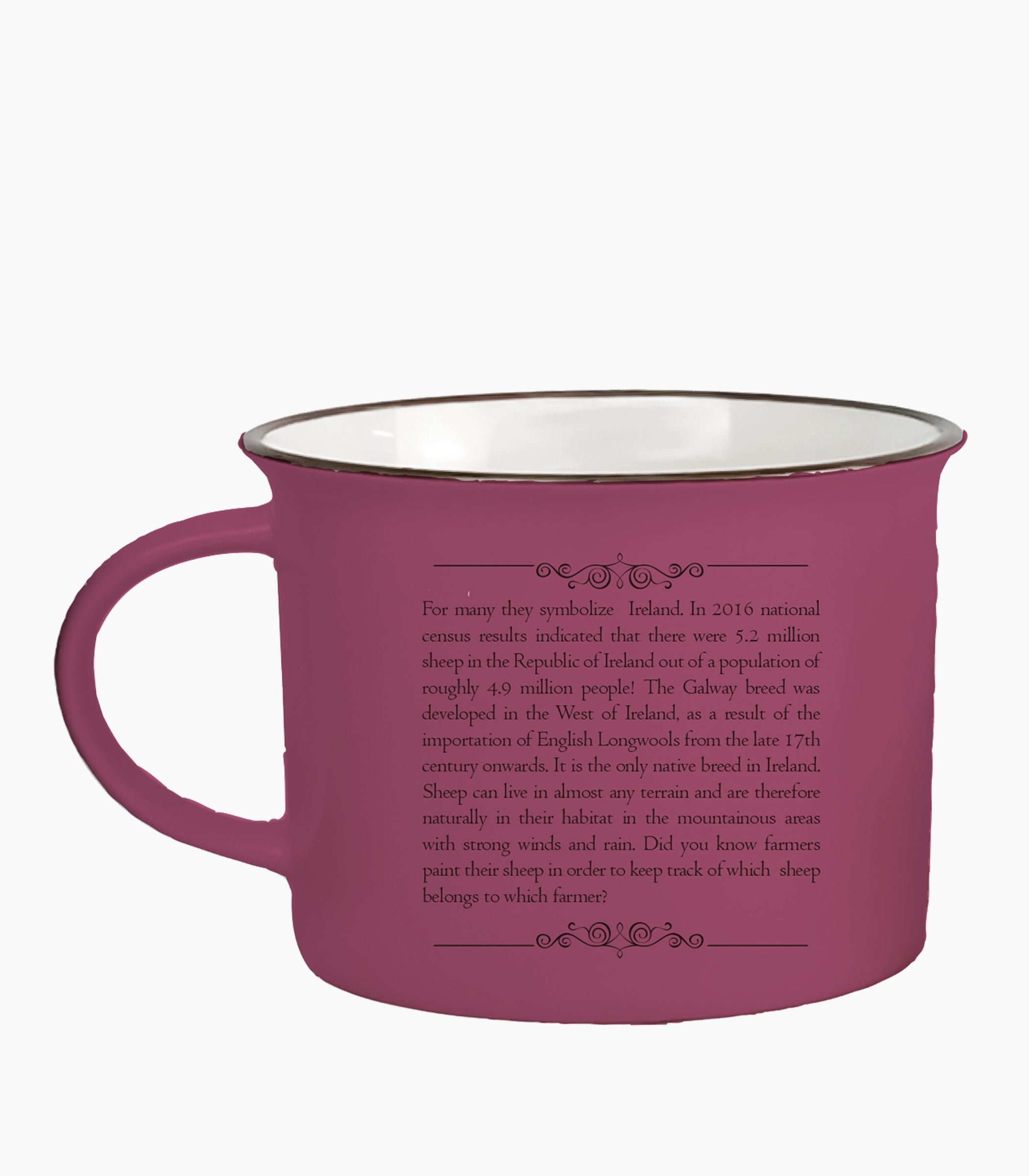 Ireland Story Mug - Small