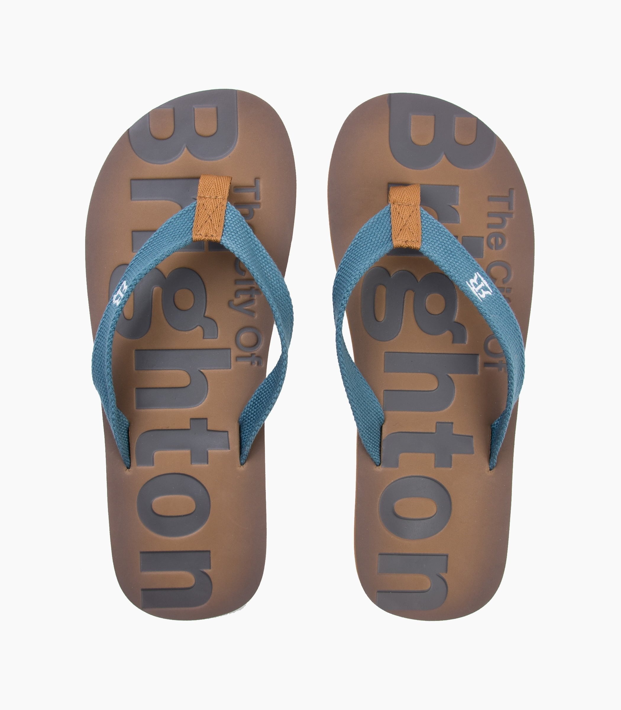 Brighton Flipflops - Robin Ruth