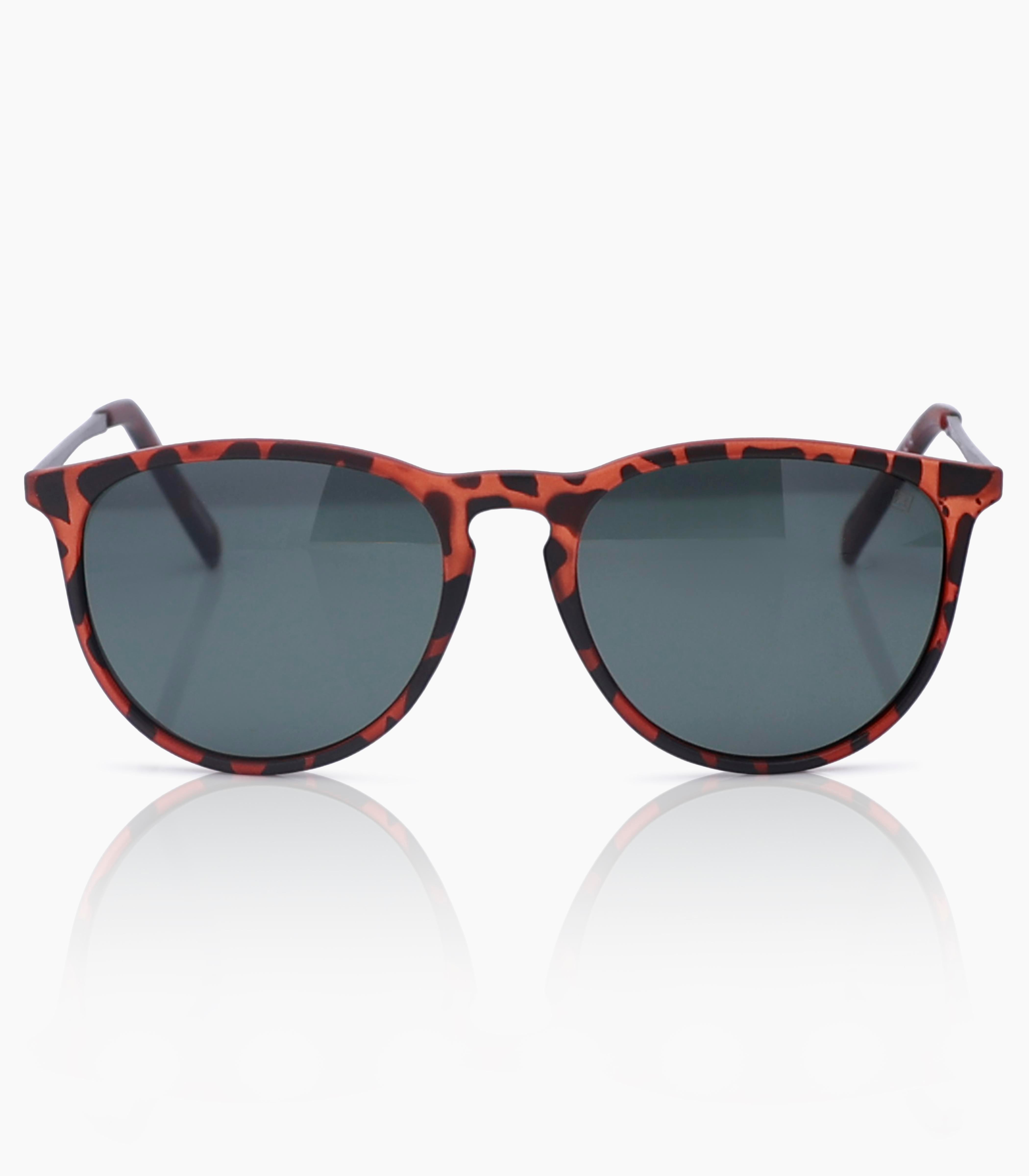 Panto Sunglasses Women